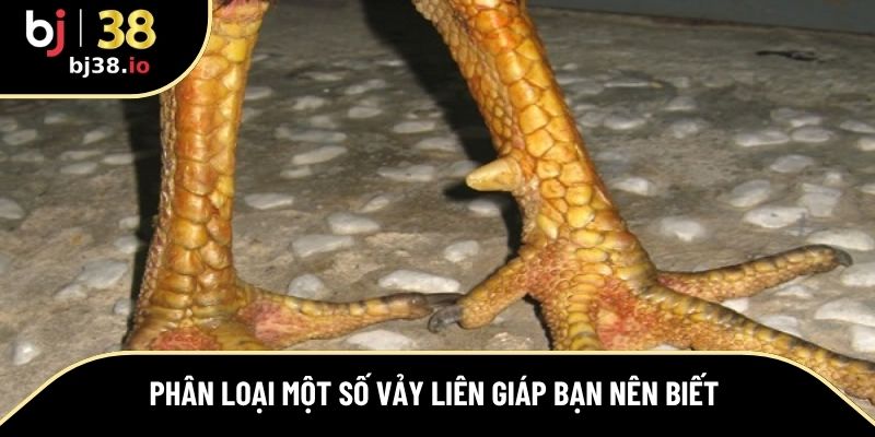 Một số vảy liên giáp phổ biến hiện nay